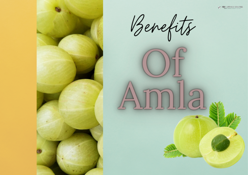 Major Benefits Of Amla