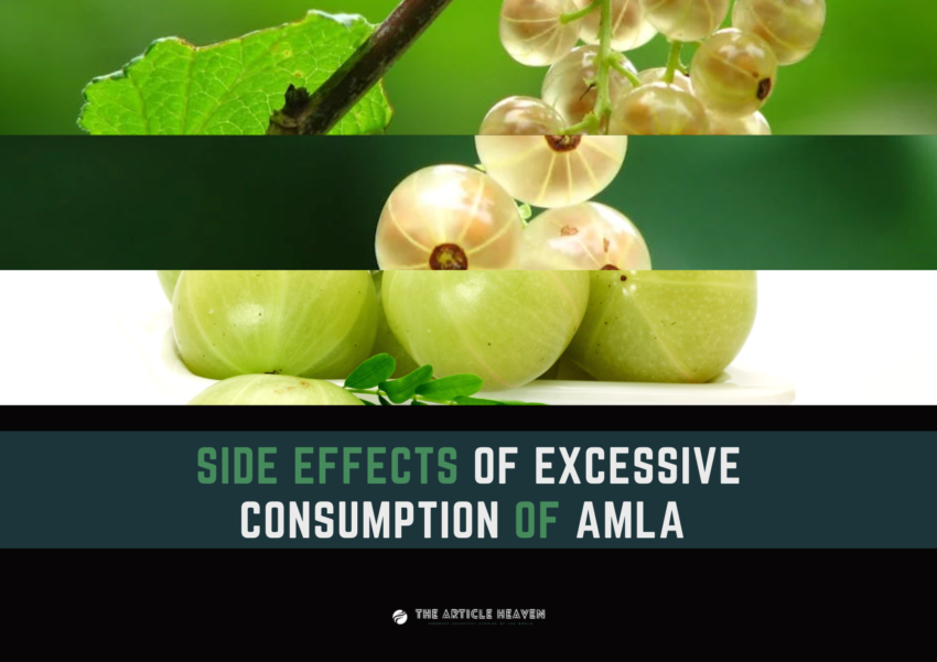 Side Effects Of Excessive Consumption Of Amla